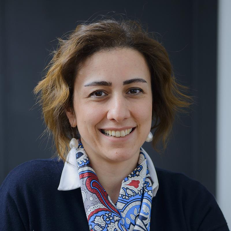 Deniz L. Basar, Ph.D.